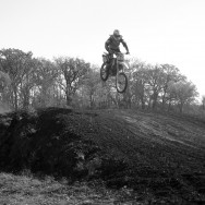 DIRT1 DIRT1