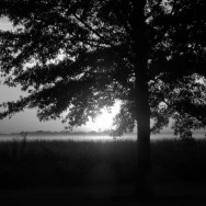 DSCN0279