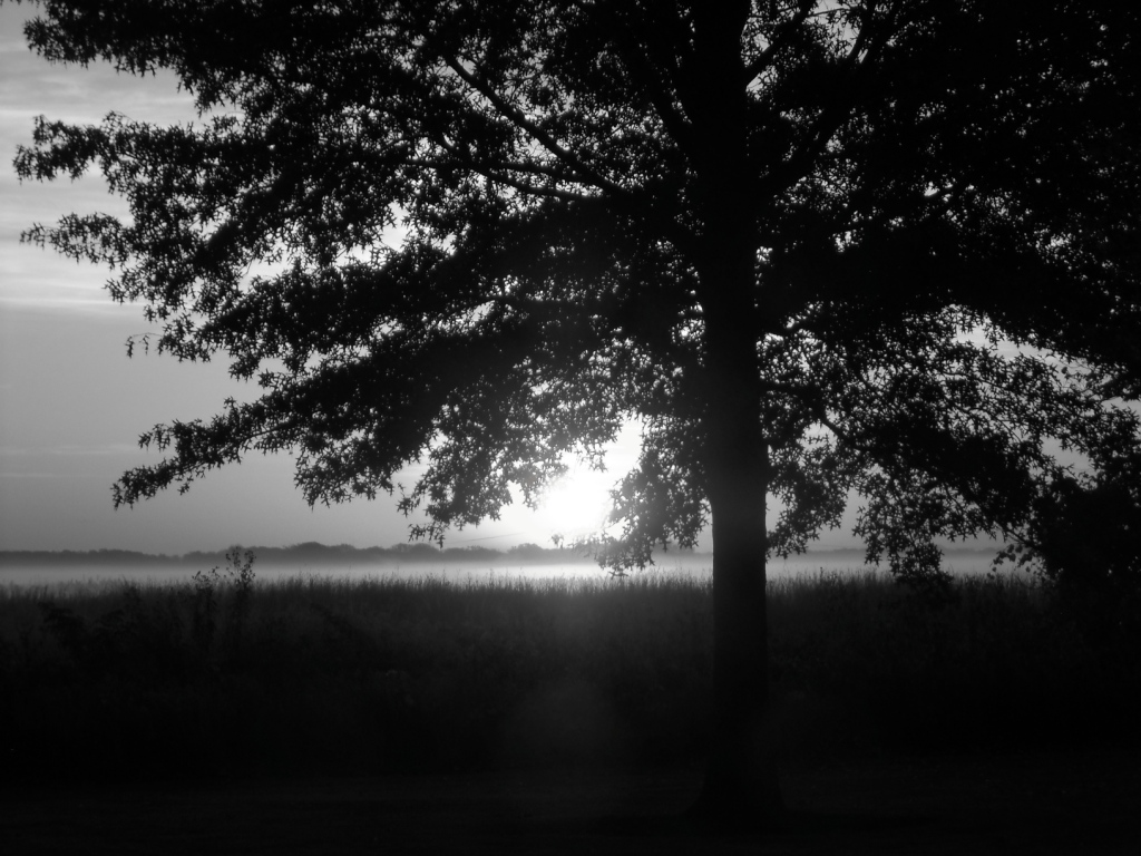 Sunrise – Goose Lake Prairie Sunrise – Goose Lake Prairie