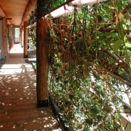 htmgarden
