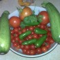 img00042 img00042