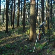 Recorder set up to capture the creaking tree