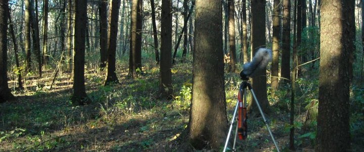 Recorder set up to capture the creaking tree
