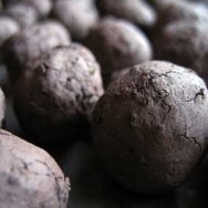 seedballs32