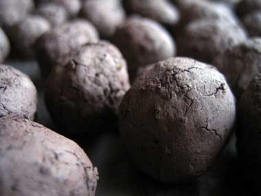 seedballs32