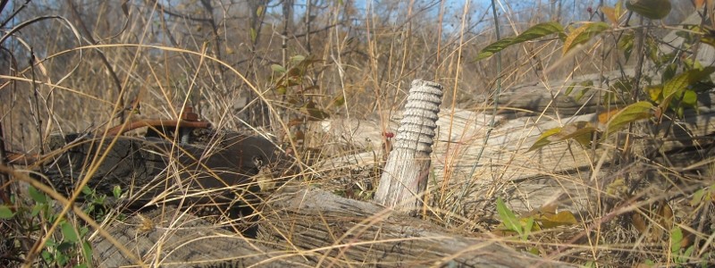wood2orig